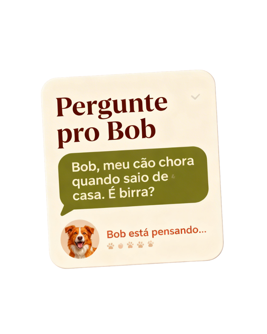Perfil do cachorro