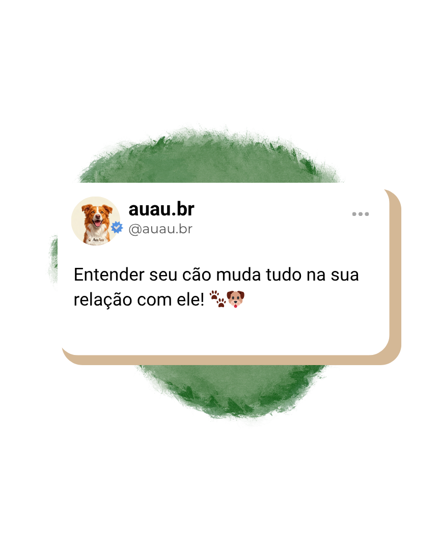 Acompanhamento AuAu